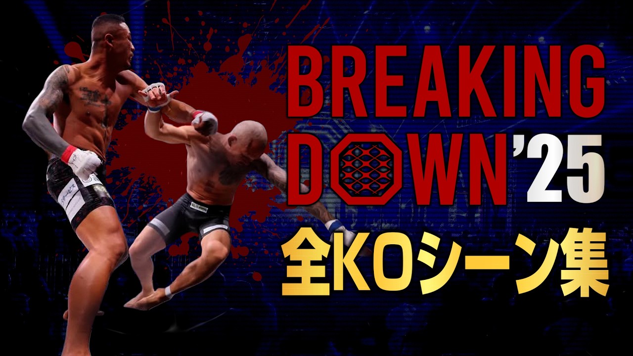 ブレイキングダウン 全KOシーン集 2025年版