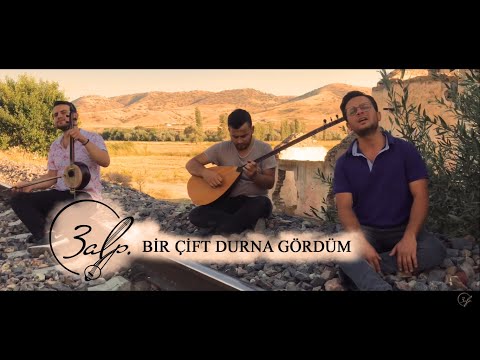 ALPLER - BİR ÇİFT DURNA GÖRDÜM