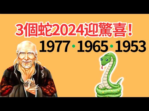數蛇