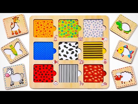 Let's Learn Animal Patterns & Colors | Best Preschool Toy Learning Videos for Kids & Toddlers