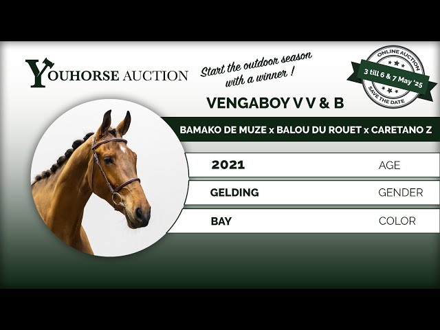 Vengaboy V V & B