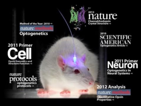 Optogenetics - Controlling Brain using Light!