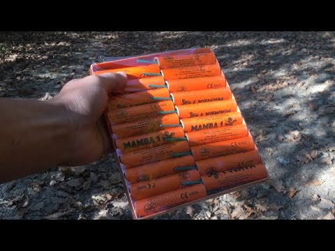 [TEST]-Mamba 1 (2021)