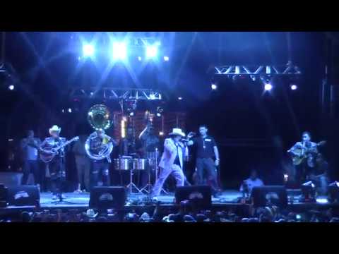 EL BAZUCAZO " EL TIGRILLO PALMA " EN XALPATLAHUAC GRO, FERIA ANUAL 2018