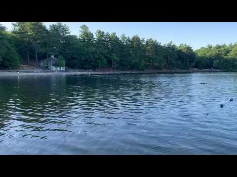 Walden Pond Concord MA!!! Hot Summer!!!