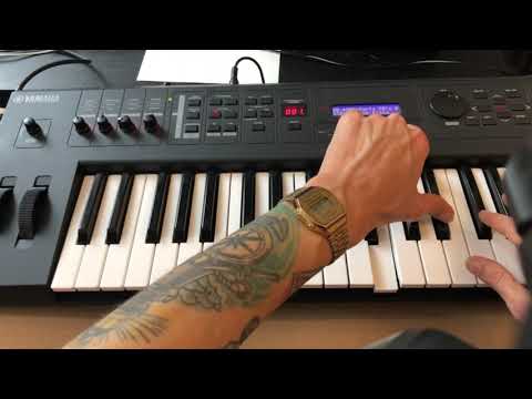Yamaha MX49 Strymon Big Sky Ambient Tutorial Anfänger, deutsch