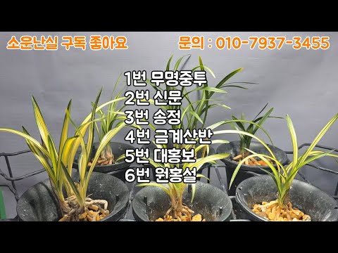 유튜브 썸네일