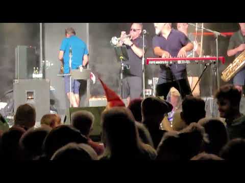 Loonee Toons - El Pussycat