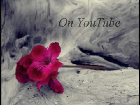 The Answer From Your Heart (Teaser)