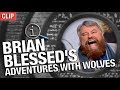 QI Brian Blessed S Adventures With Wolves