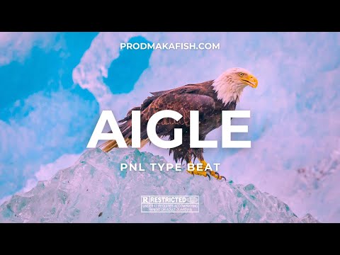 [FREE] PNL Type Beat 2023 "Aigle" - Instru Cloud Rap Planant || Cloud Rap Type Beats By Makafish
