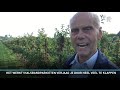 De Halsbandparkiet teistert eindelijk de boomgaard van Jan Boer niet meer.
