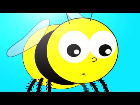 download lagu mp3 mp4 Yellow Bumblebee, download lagu Yellow Bumblebee gratis, unduh video klip Yellow Bumblebee