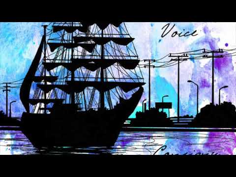 Consigny Panic - 2° 6' (2011)