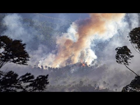 Schwere Unwetter in Europa - 2 Mädchen in Toskana von Baum erschlagen