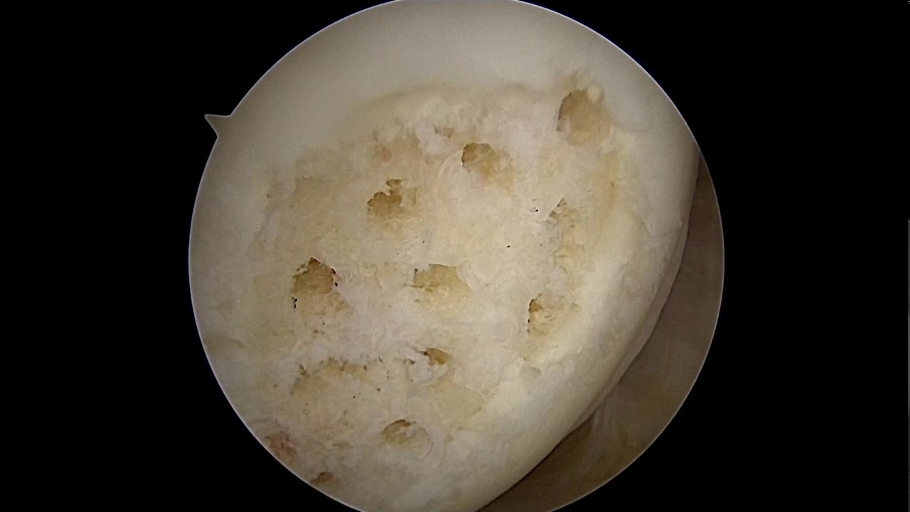 Raúl Rodas Arvizu-16