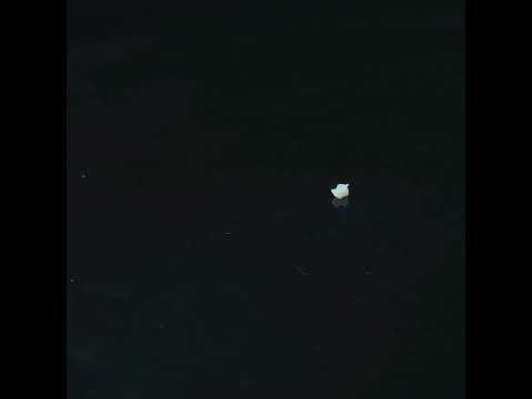 YouTube 썸네일