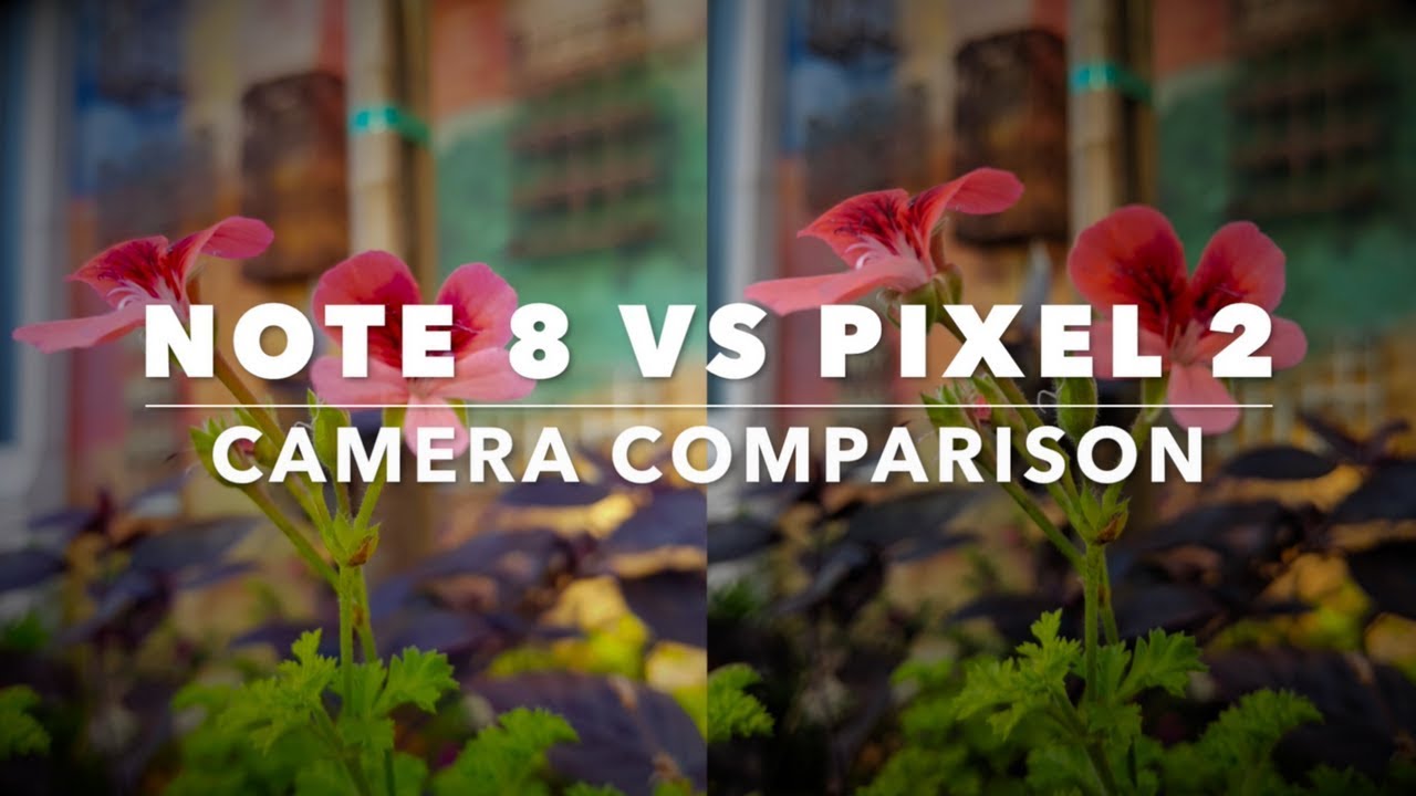 Samsung Galaxy Note 8 vs. Pixel 2 XL Camera Comparison