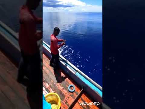 REEL POSEIDON 50sl. The red snapper