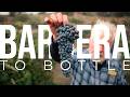 Cultivating Wine Grapes On A 2 Acre Estate Vineyard PARAGRAPHIC