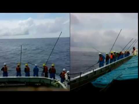 Ana Roa Hoei Maru-Shorter Clip