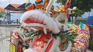 Long Dargon for Dargon dance festival event