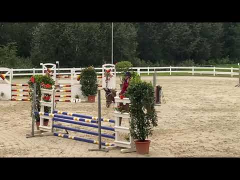 AILEENS QUALITY STREET (6yo Obos Quality) 09.2020 Isny - SPF A**