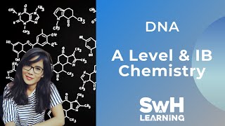 Biochemistry Of DNA | A LEVEL & IB CHEMISTRY | SwH Learning