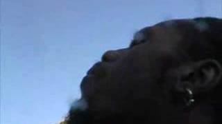 Ulisses Jr - 32 Plates