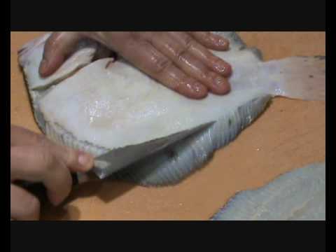 Steinbutt filetieren - How to filet turbot