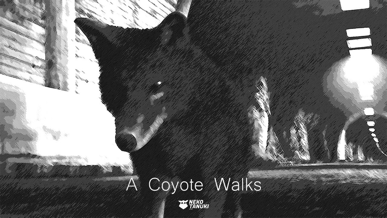 A COYOTE WALKS (2025) | a NEKO-TANUKI Studio Short Film