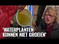 Amsterdams onderwaterleven nog steeds ondermaats