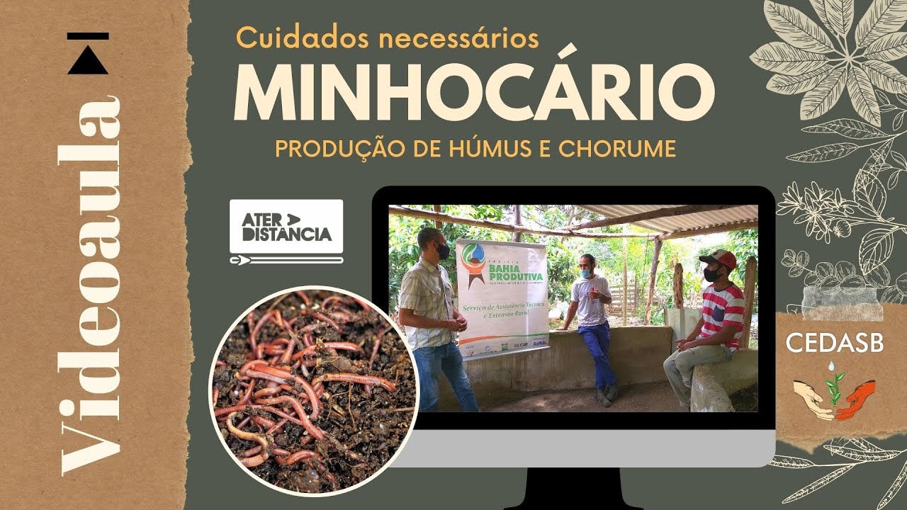 Cuidados necessários com o MINHOCÁRIO para produção de húmus e chorume [ATER a distância]