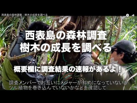 保護された植物