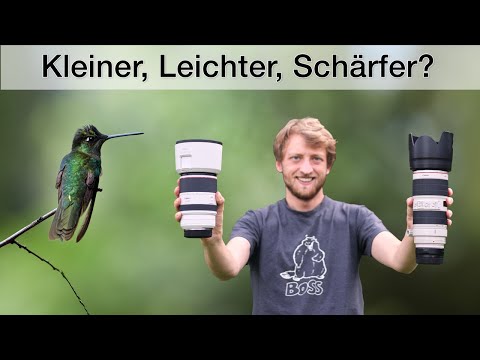 Canon RF 70-200 f/2.8 L IS - Meine Eindrücke aus der Tierfotografie (Review)