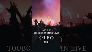 #TOOBOE ONEMAN LIVE 2025《 RUBY 》オフィシャル先行受付中 #天晴れ乾杯 #Shorts