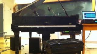 Ofer Pelz - Etude for disklavier and electronics