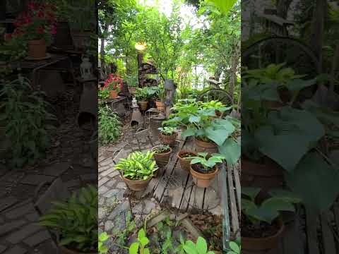 バルコニーテーブルの作り方: このカスタム DIY をマスターするためのアイデアとチュートリアル  庭園