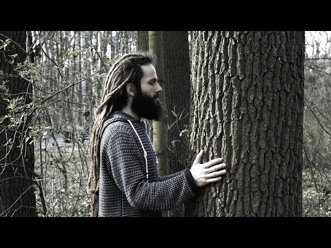 KiQu x PPW - Korzenie