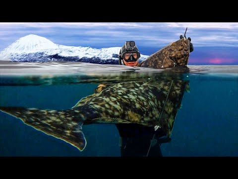Spearfishing Giant Atlantic Halibut in the FREEZING Arctic!
