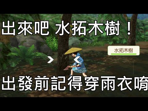 拓木