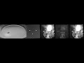 Newswise: Flyception 2.0: New Imaging Technology Tracks Complex Social Behavior
