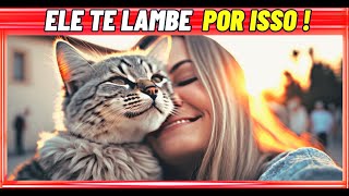 😺👅 Por que meu gato me lambe? Descubra os segredos por trás dessa lambidinha afetuosa! 🐾