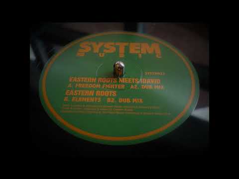 Eastern Roots Meets Idavid - Freedom Fighter (2022)