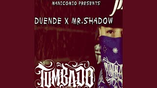 Tumbado (feat. Mr Shadow)
