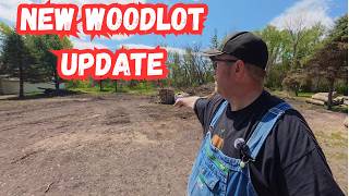 Progress is being made at the NEW WOODLOT and future plans shared