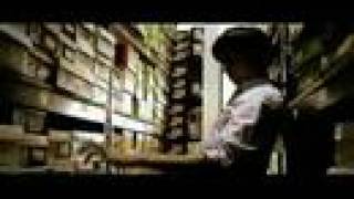 the morning benders - &quot;Boarded Doors&quot;