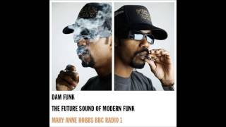 Dam-Funk - "The Future Sound Of Modern Funk" - Synth-Funk Mix - 2010