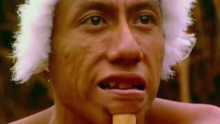 Download lagu The Zoe Tribe Lives Like It's 2000 Years Ago! mp3 Download lagu The Zoe Tribe Lives Like It's 2000 Years Ago! mp3