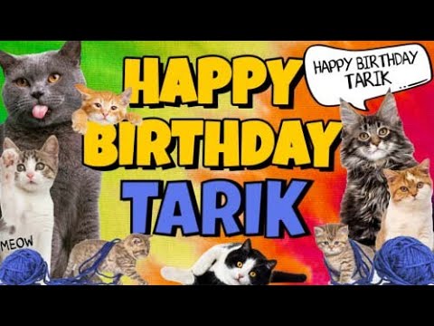 Happy Birthday Tarik! Crazy Cats Say Happy Birthday Tarik (Very Funny)